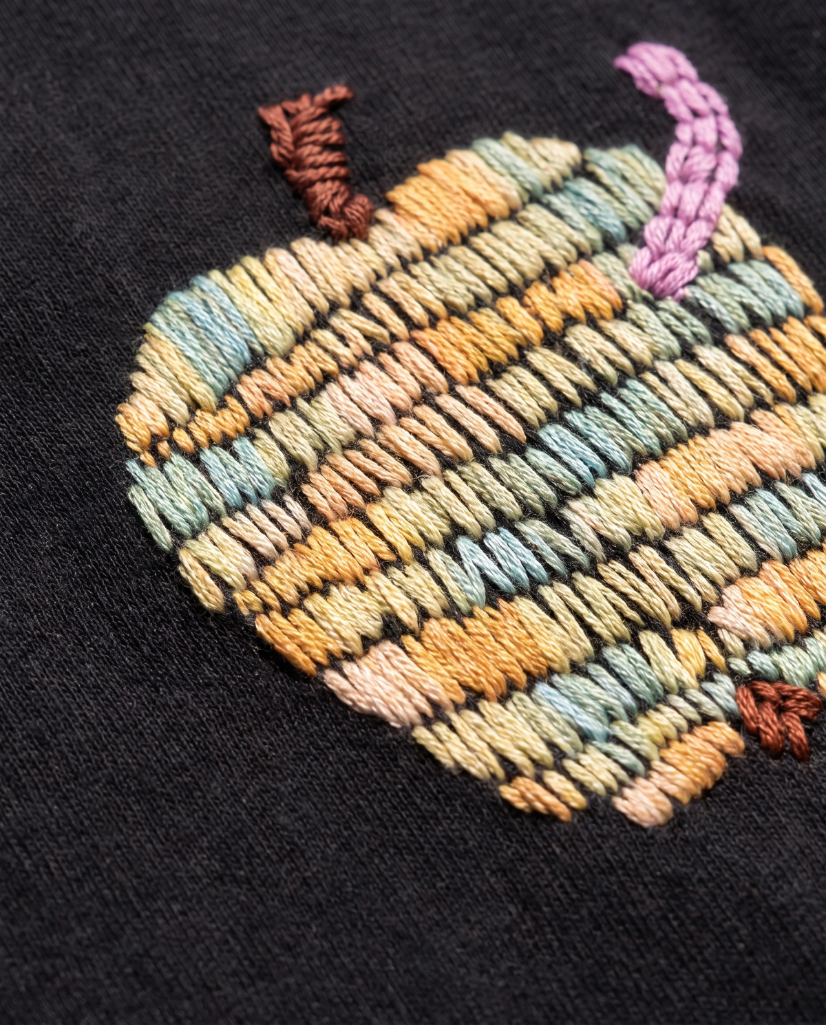 Hand embroidery detail of a pastel apple with brown stem and lilac worm on black cotton